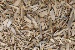biomass boilers Stobswood